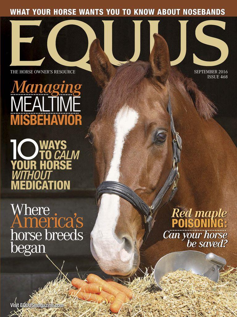 Equus