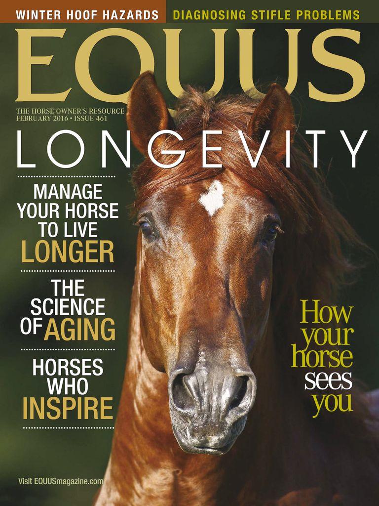 Equus