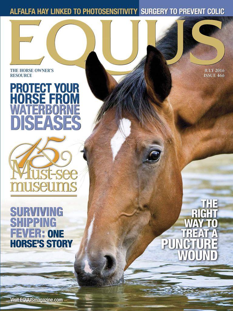 Equus
