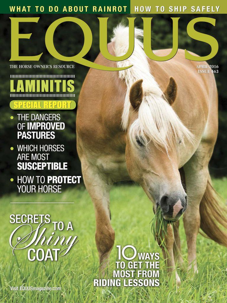 Equus