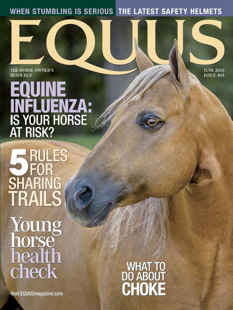 Equus
