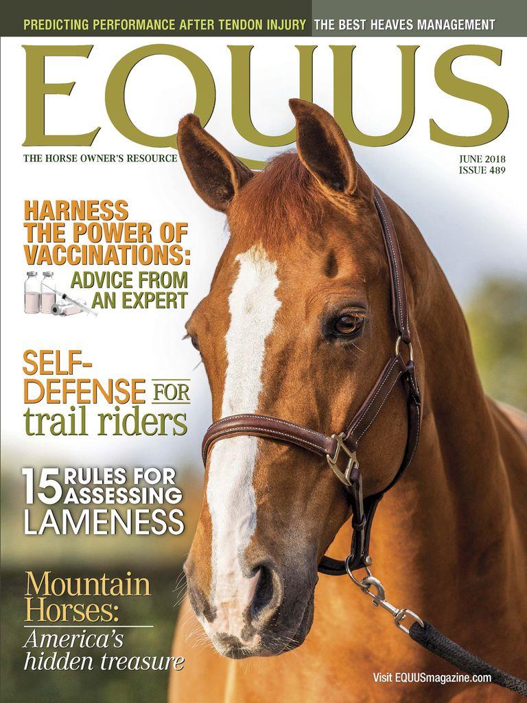 Equus