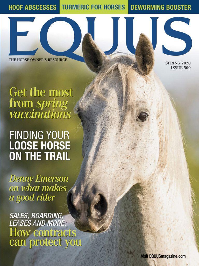 Equus