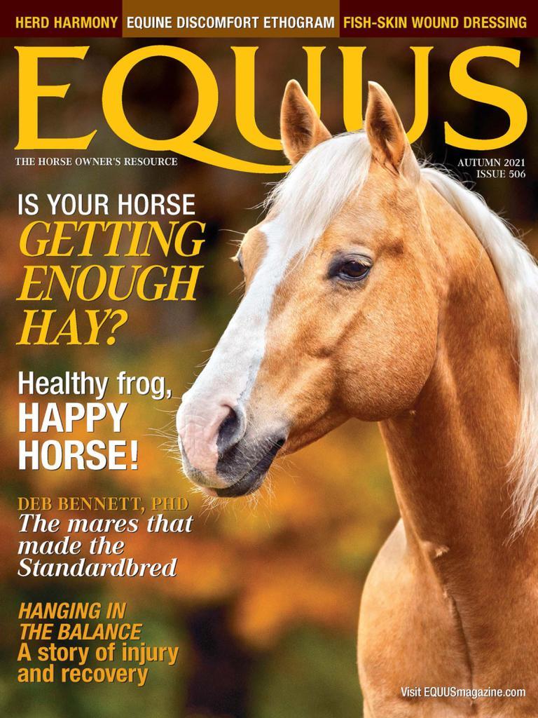 Equus