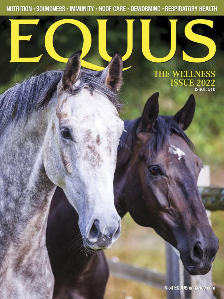 Equus