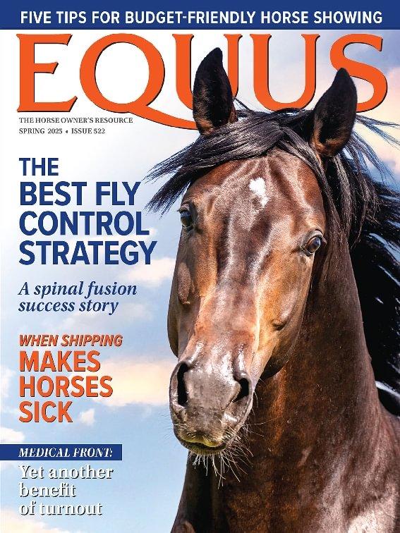 Equus
