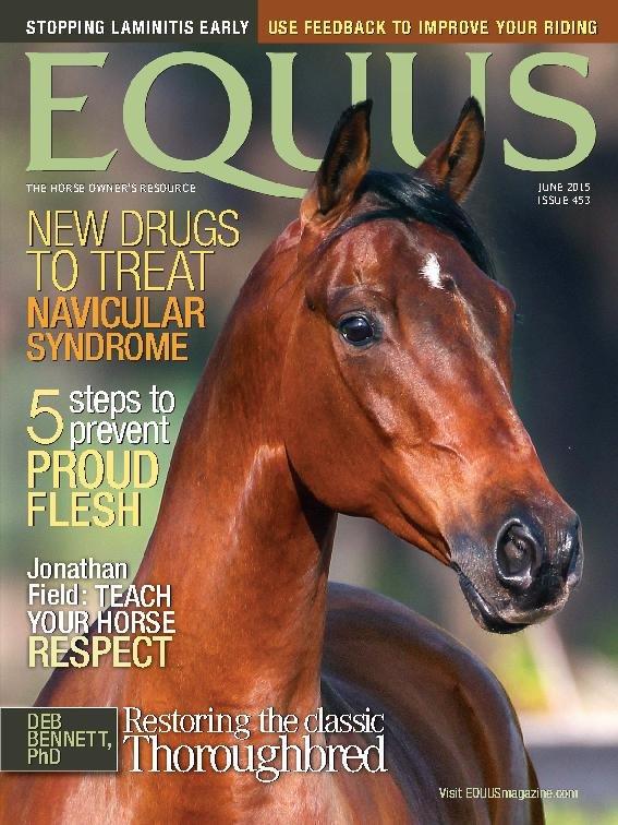 コレクション equus 雑誌