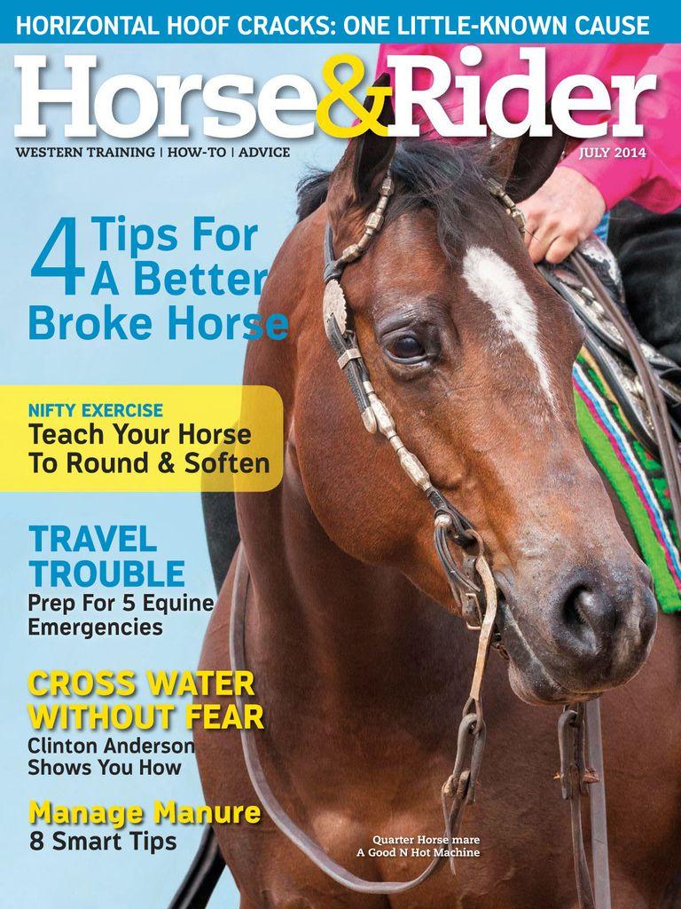 Horse & Rider