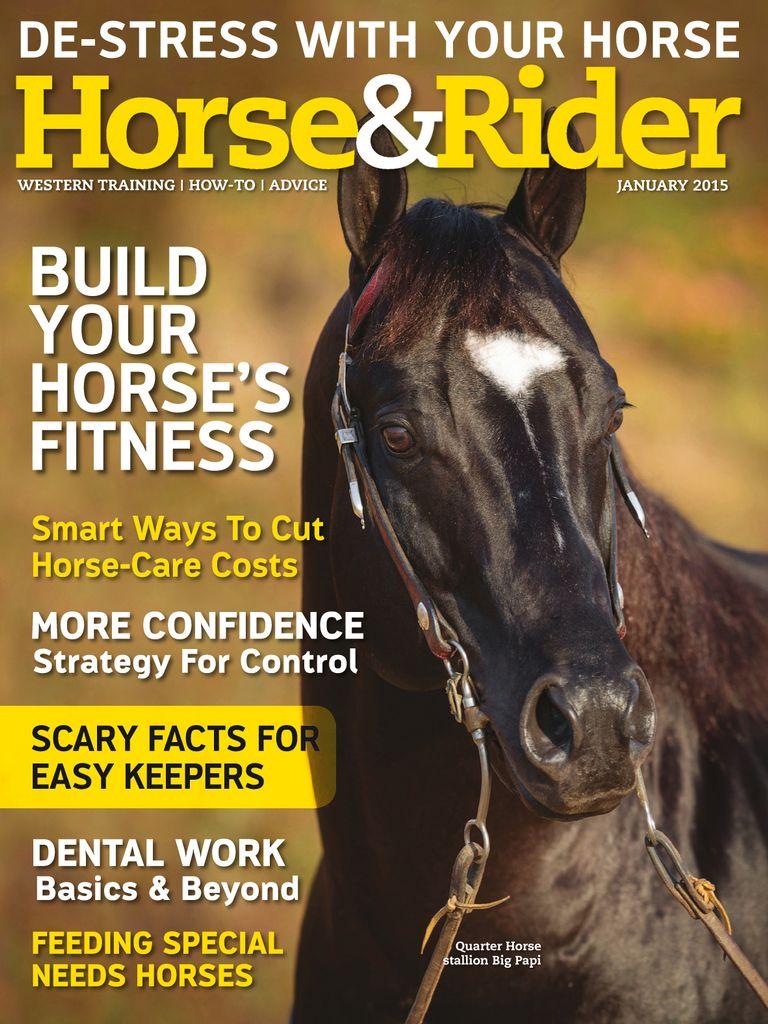 Horse & Rider