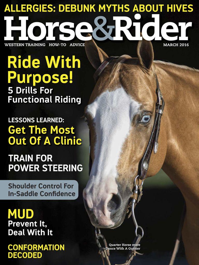 Horse & Rider