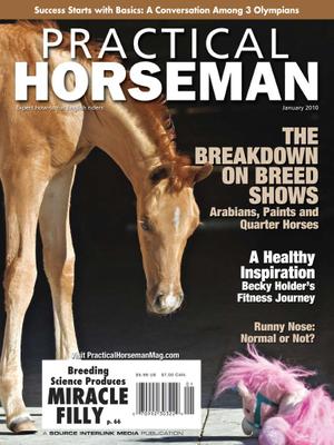 Practical Horseman