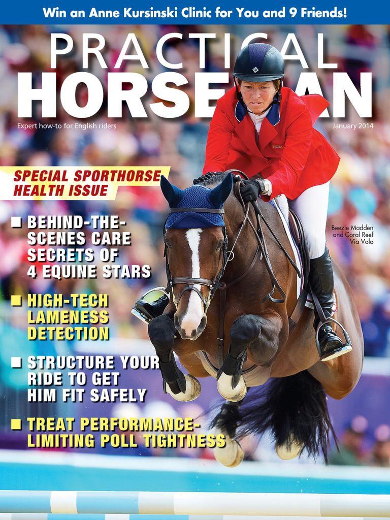 Practical Horseman