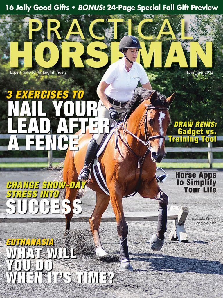 Practical Horseman