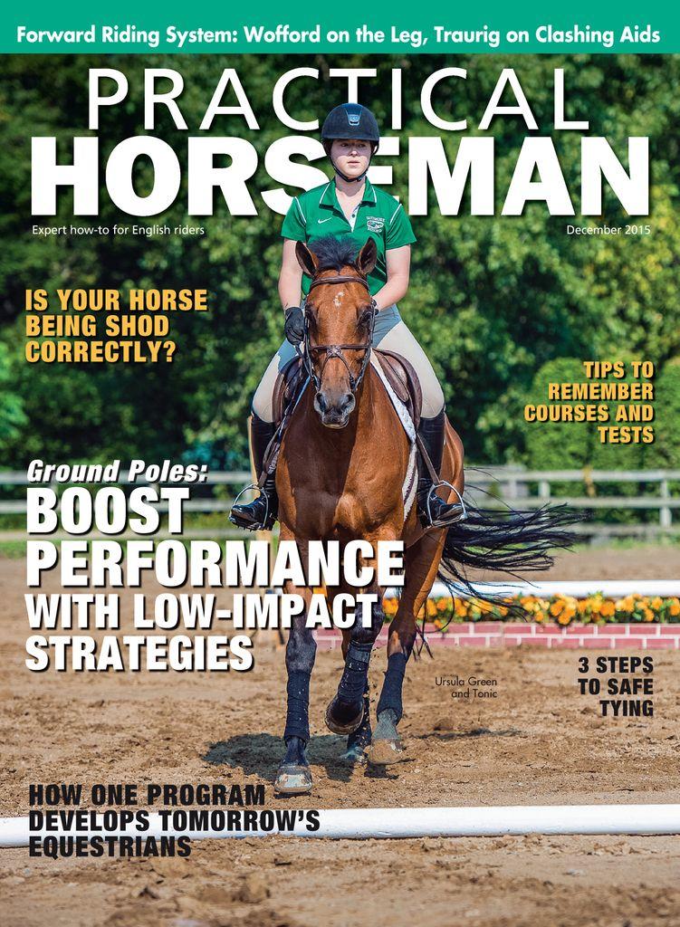 Practical Horseman