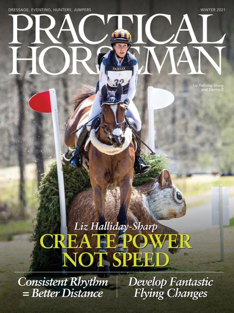 Practical Horseman