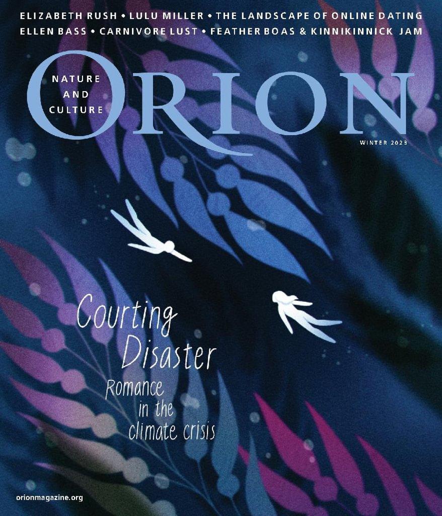 Orion