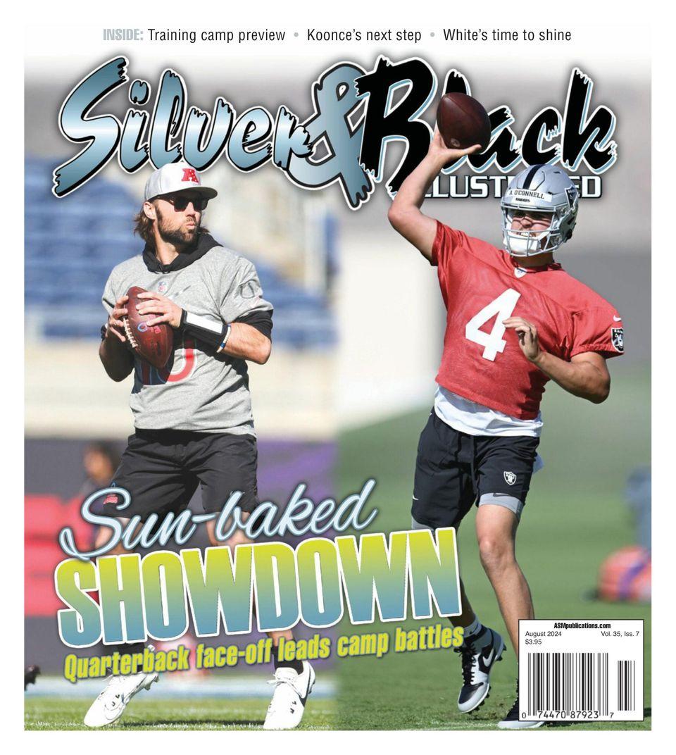 Silver & Black Illustrated