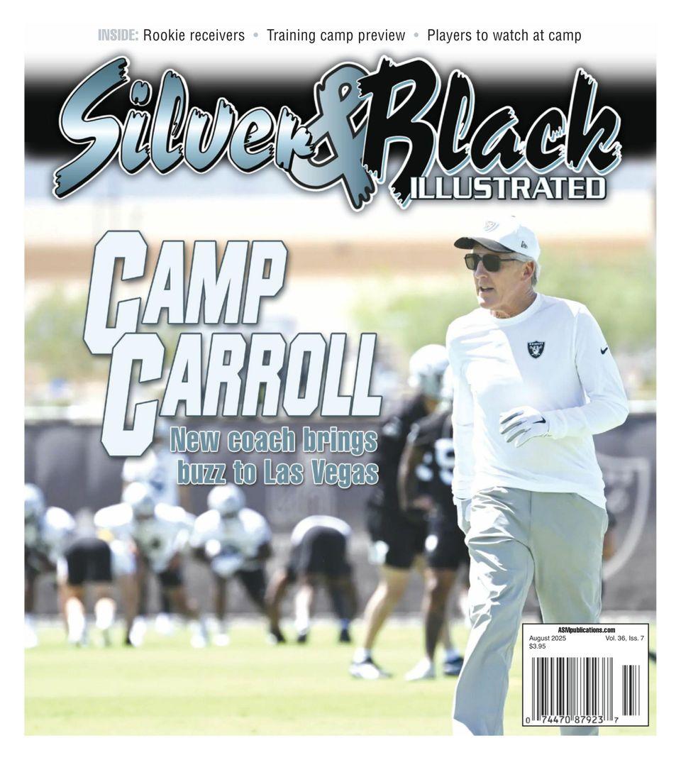 Silver & Black Illustrated