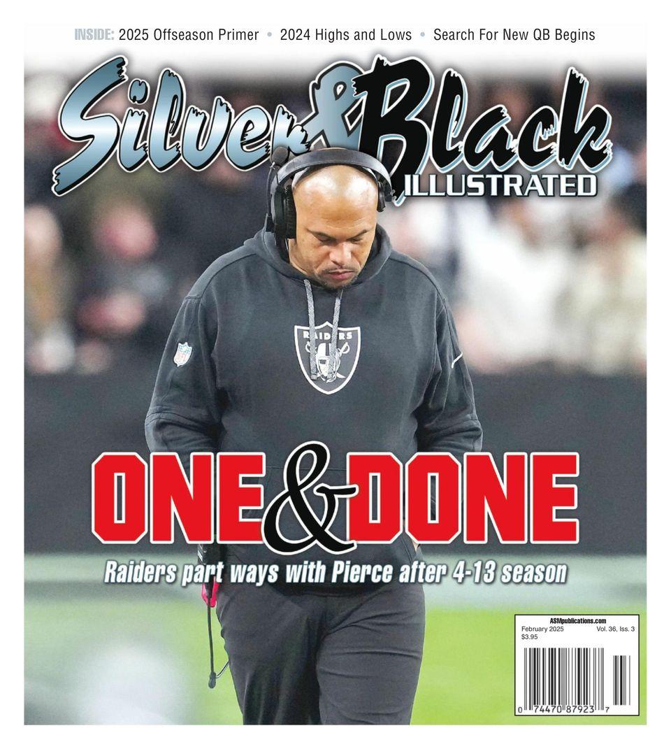Silver & Black Illustrated