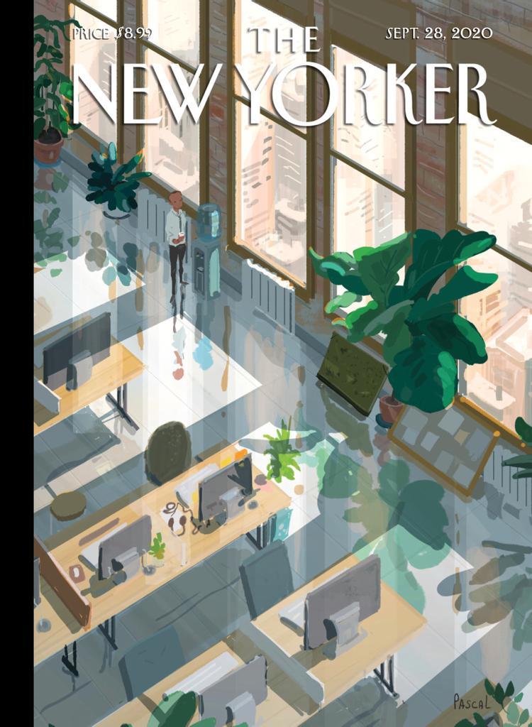 The New Yorker