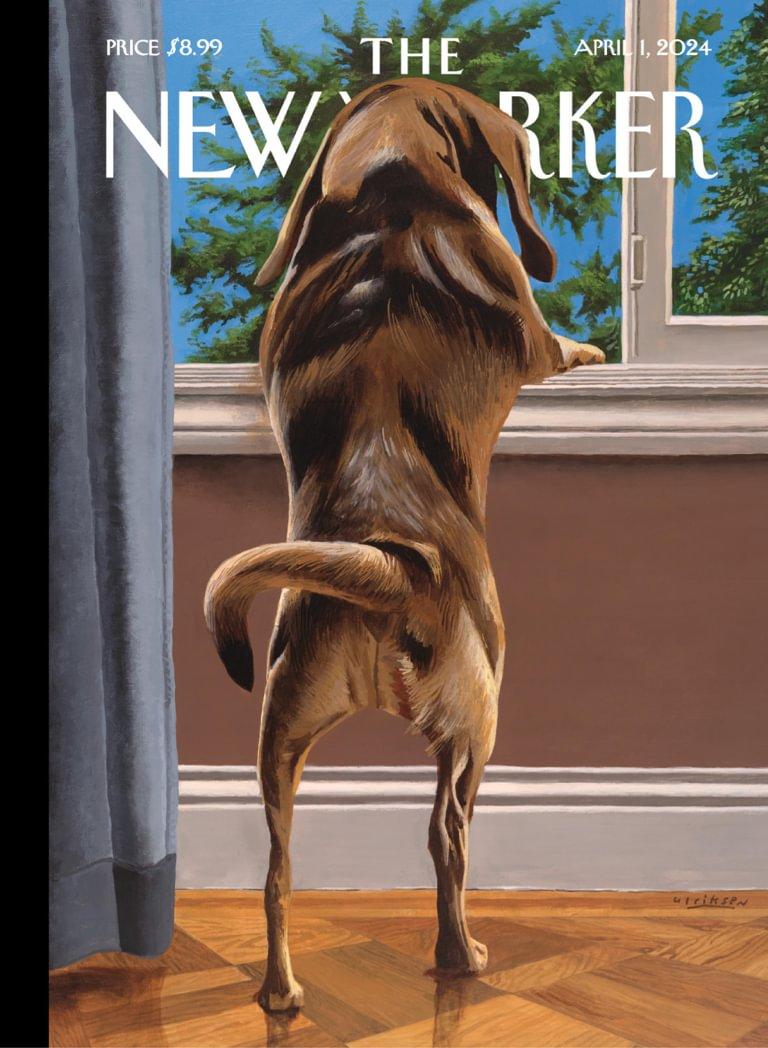 The New Yorker