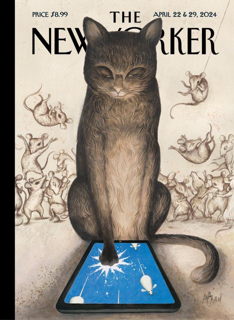 The New Yorker