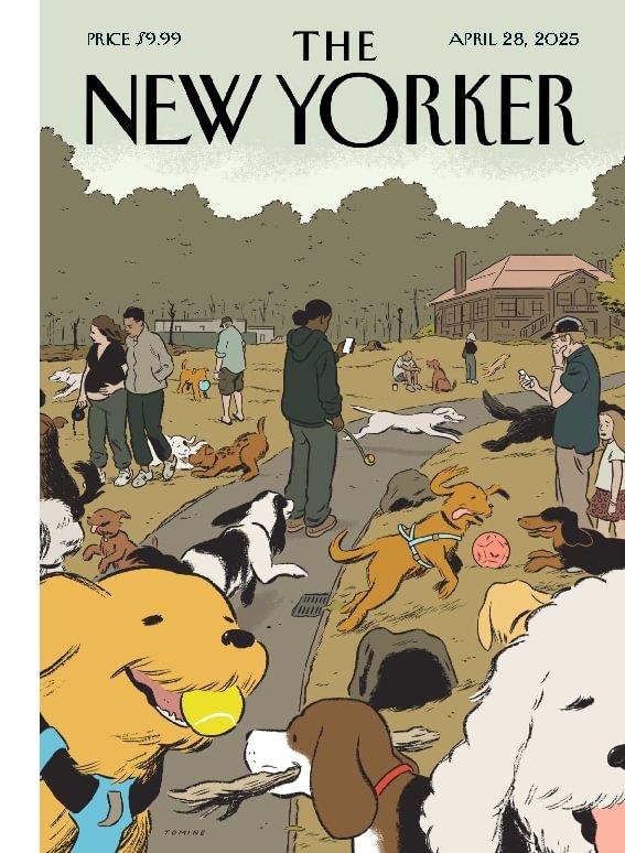 The New Yorker