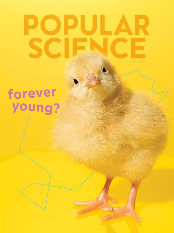 Popular Science Magazine | TopMags