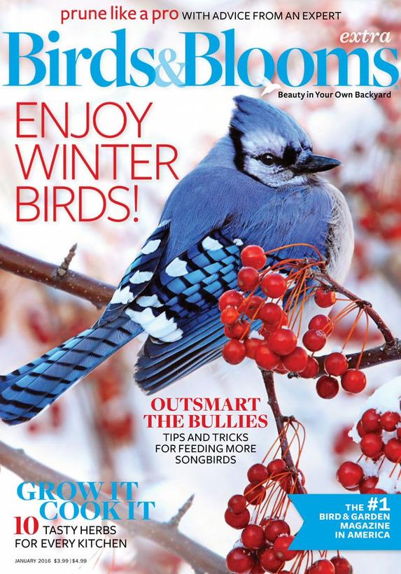 Birds & Blooms Extra Magazine | TopMags