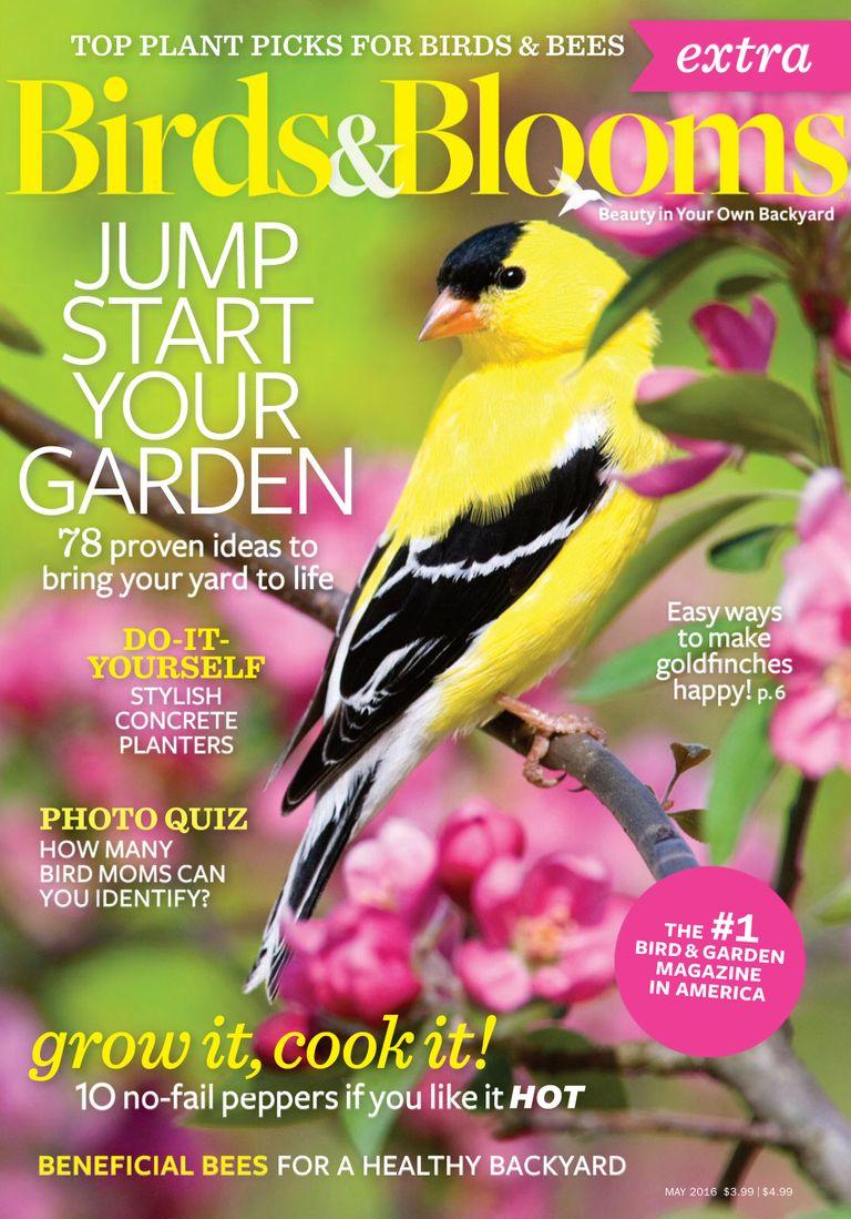 Birds & Blooms Extra Magazine TopMags