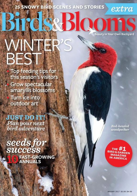 Birds & Blooms Extra Magazine | TopMags