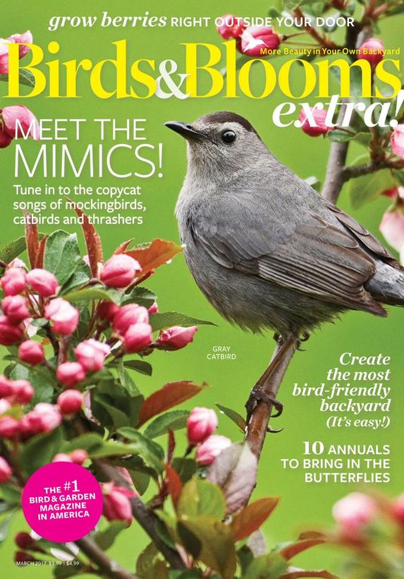 Birds & Blooms Extra Magazine | TopMags