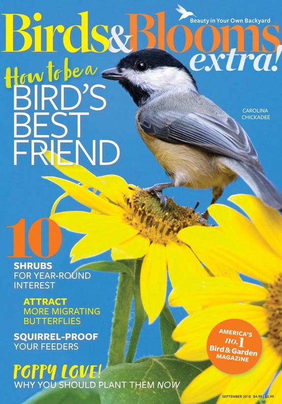 Birds & Blooms Extra Magazine | TopMags
