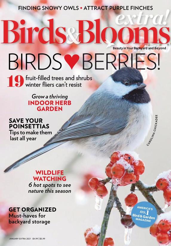 Birds & Blooms Extra Magazine | TopMags