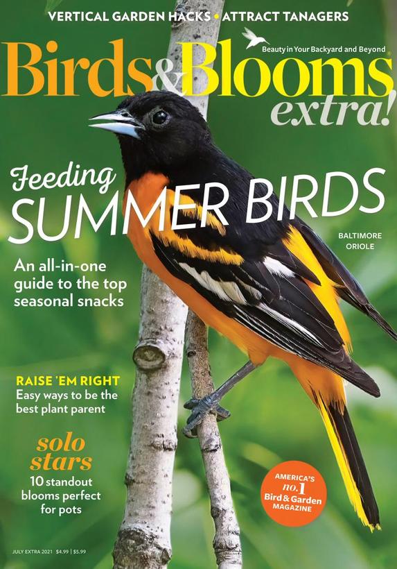 Birds & Blooms Extra Magazine | TopMags