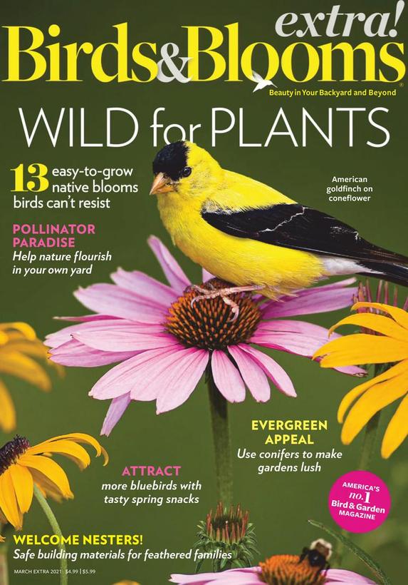 Birds & Blooms Extra Magazine | TopMags