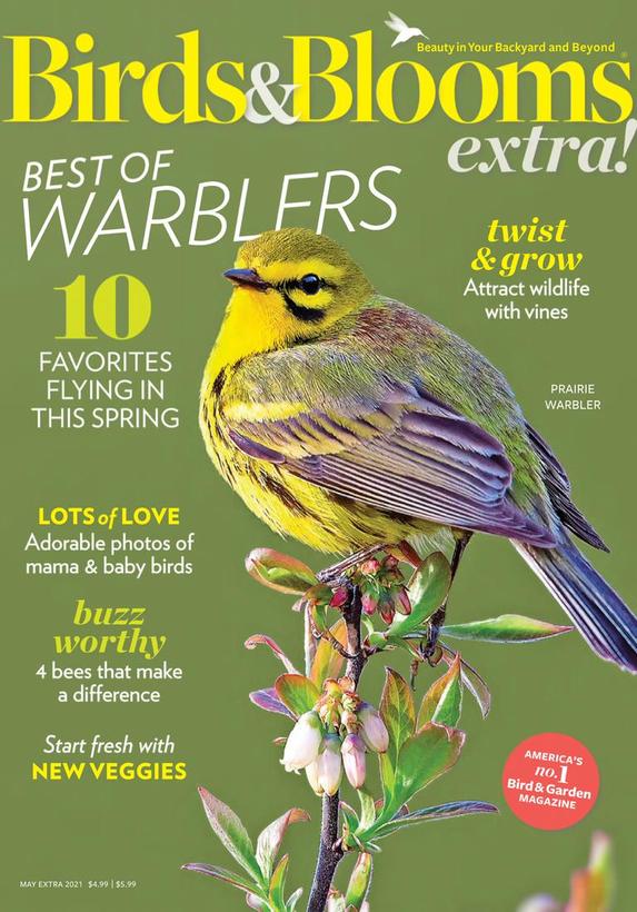 Birds & Blooms Extra Magazine | TopMags