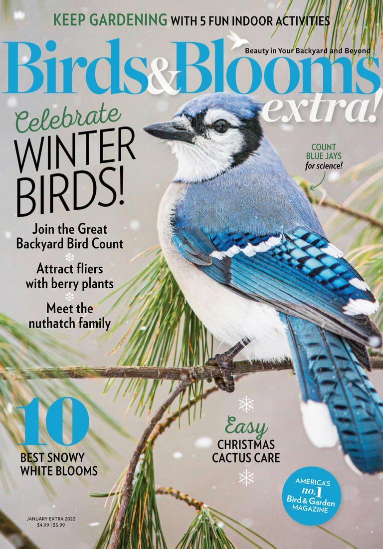 Birds & Blooms Extra Magazine TopMags