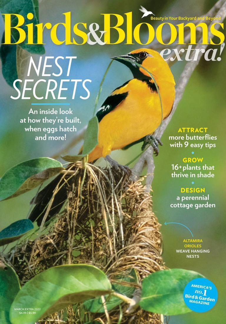 Birds & Blooms Extra Magazine TopMags