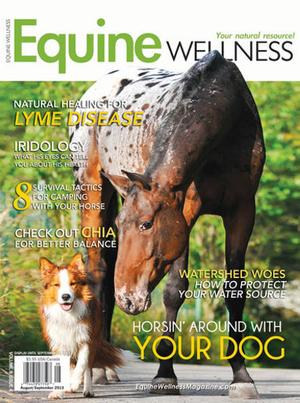 Equine Wellness