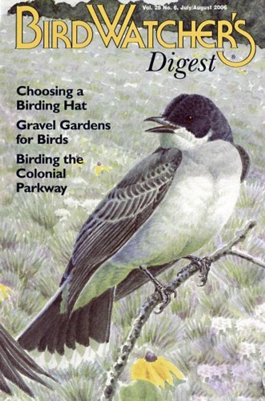 Bird Watcher's Digest Magazine | TopMags