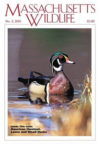 Massachusetts Wildlife