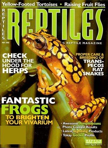 Reptiles