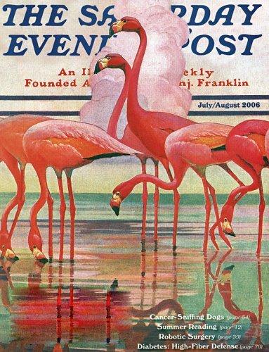 Saturday Evening Post