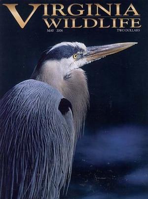 Virginia Wildlife