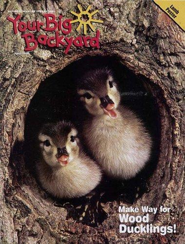 Your Big Backyard Magazine TopMags