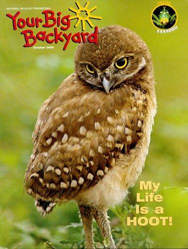 Your Big Backyard Magazine TopMags