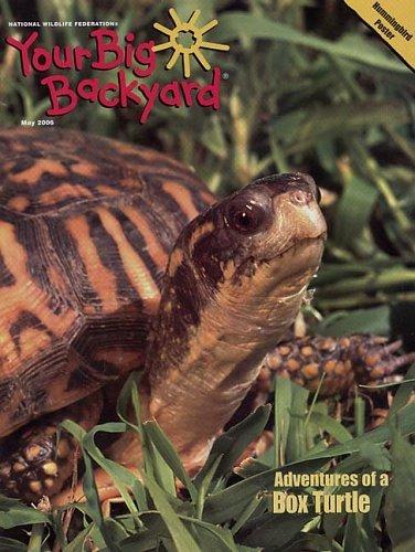 Your Big Backyard Magazine TopMags
