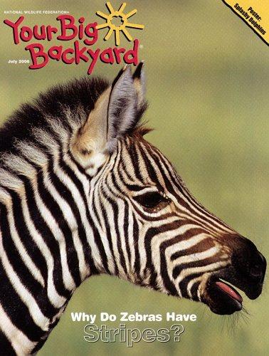 Your Big Backyard Magazine TopMags