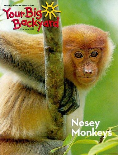 Your Big Backyard Magazine TopMags